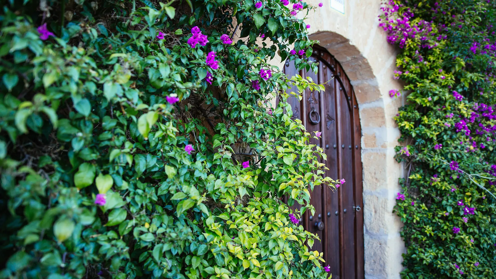 Hotel Es Lloquet (Adults Only) Campos  Campos (Mallorca)