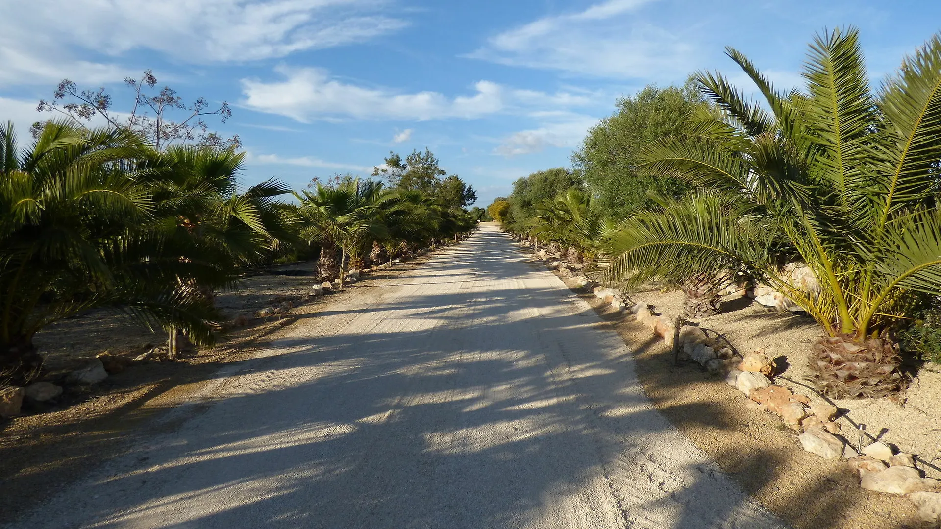 Hotel Es Lloquet (Adults Only) Campos  4*, Campos (Mallorca)